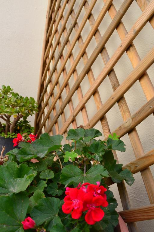 Anatolia Guest House Chania  Buitenkant foto